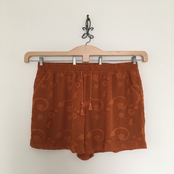 Lane Bryant Pants - Lane Bryant Tapestry Embellished Shorts Size 22/24